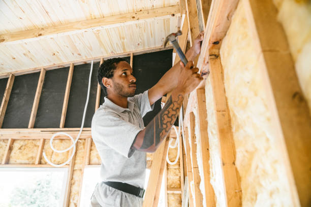 Best Fiberglass Insulation  in Paw Paw, MI