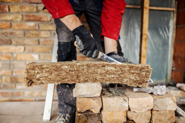 Best Wall Insulation Contractor  in Paw Paw, MI