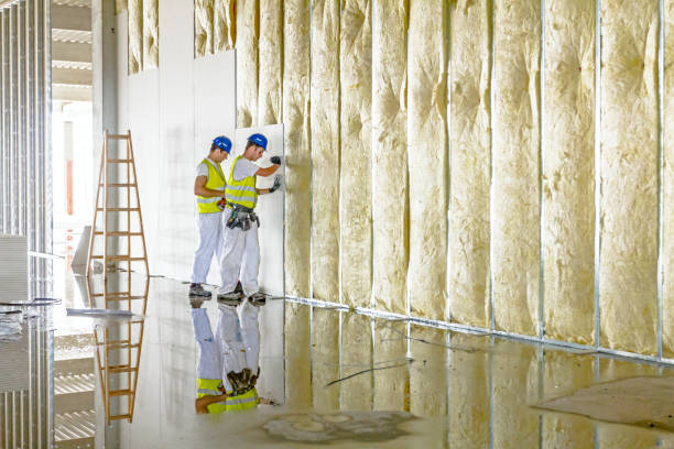 Best Spray Foam Insulation  in Paw Paw, MI